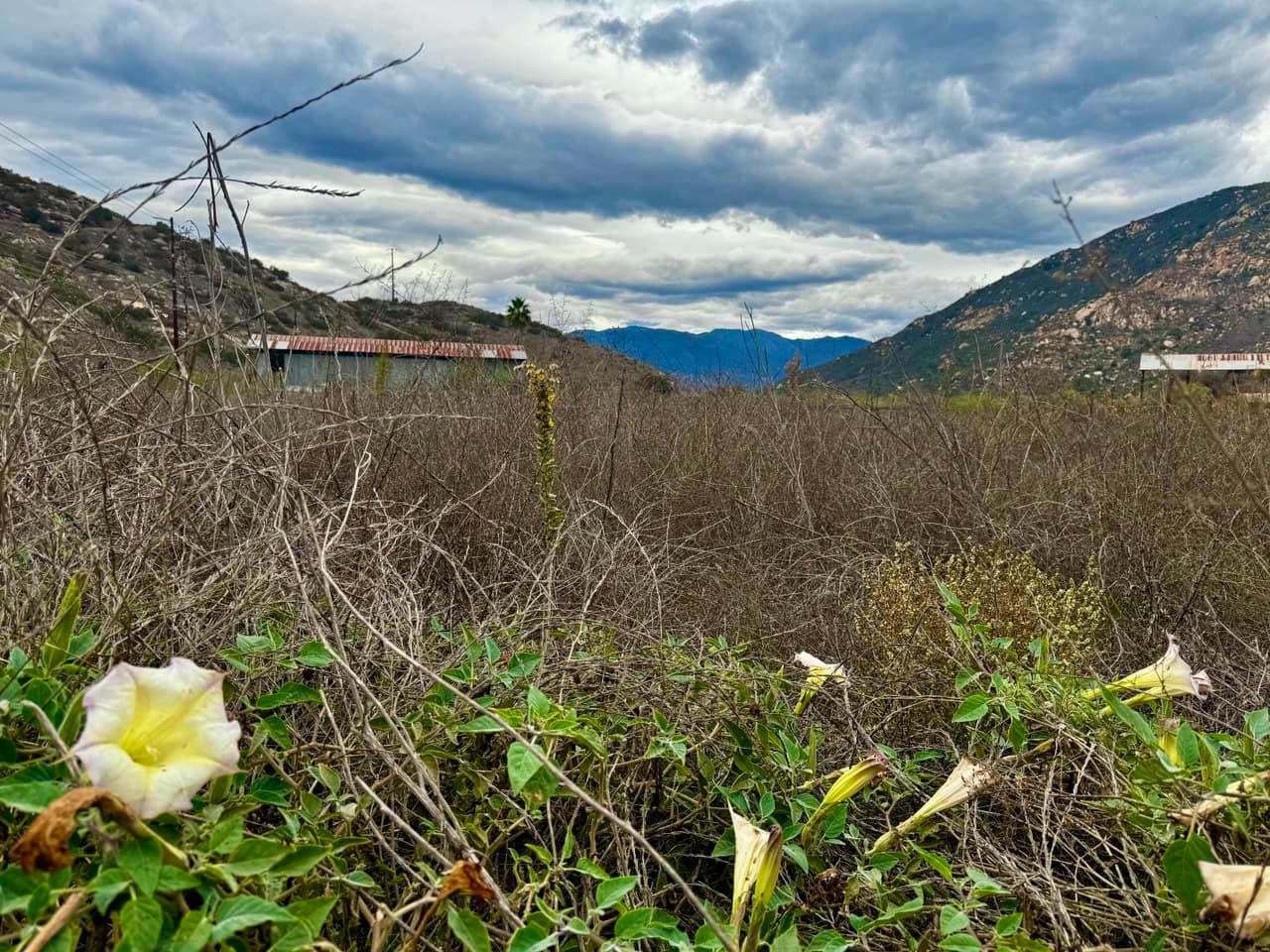 PALA, CA - image 3